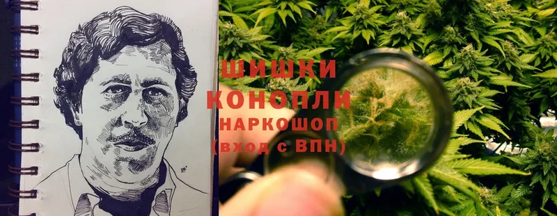 Шишки марихуана SATIVA & INDICA  где купить наркоту  Белово 